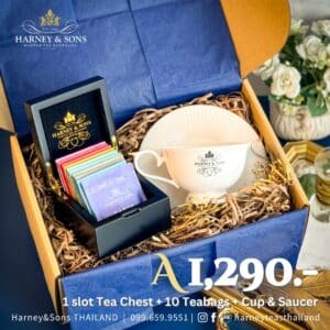 1 slot Tea chest + 10 Teabags + Cup Saucer