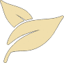 Group 13