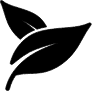 Group 14